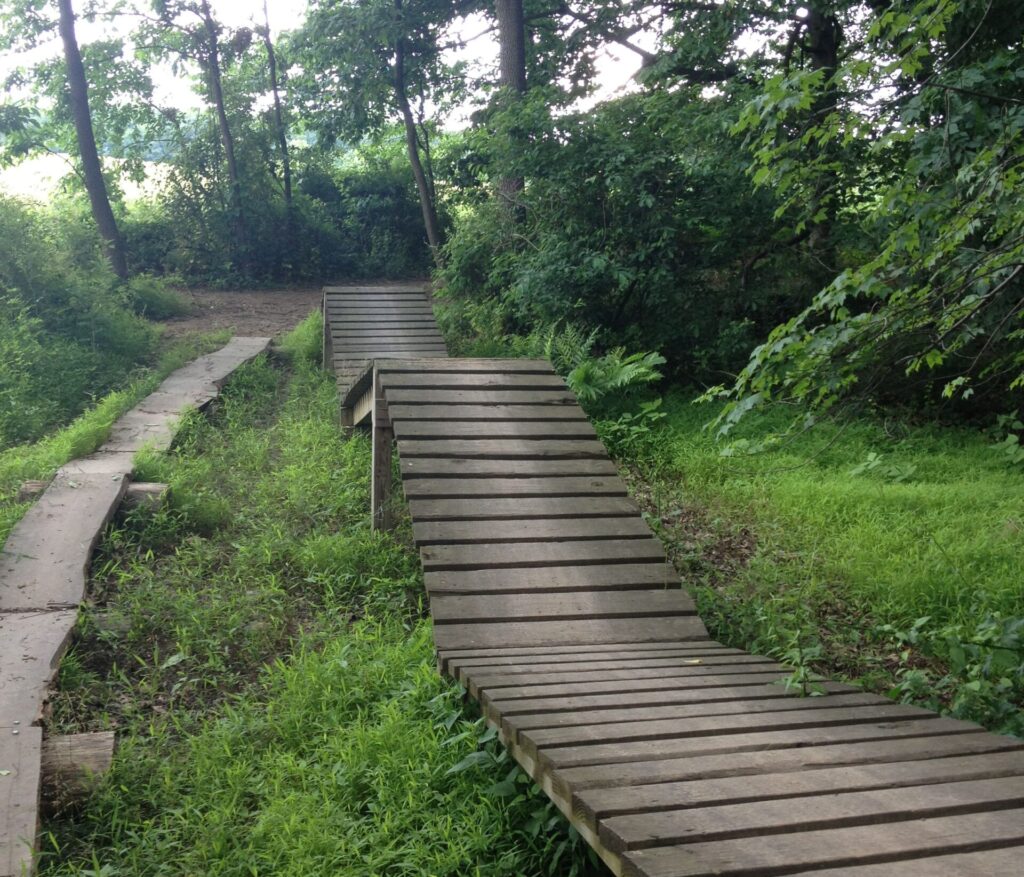 A photo of a wooden bike obstacle that is located in White Clay Creek, Newark, Delaware. 