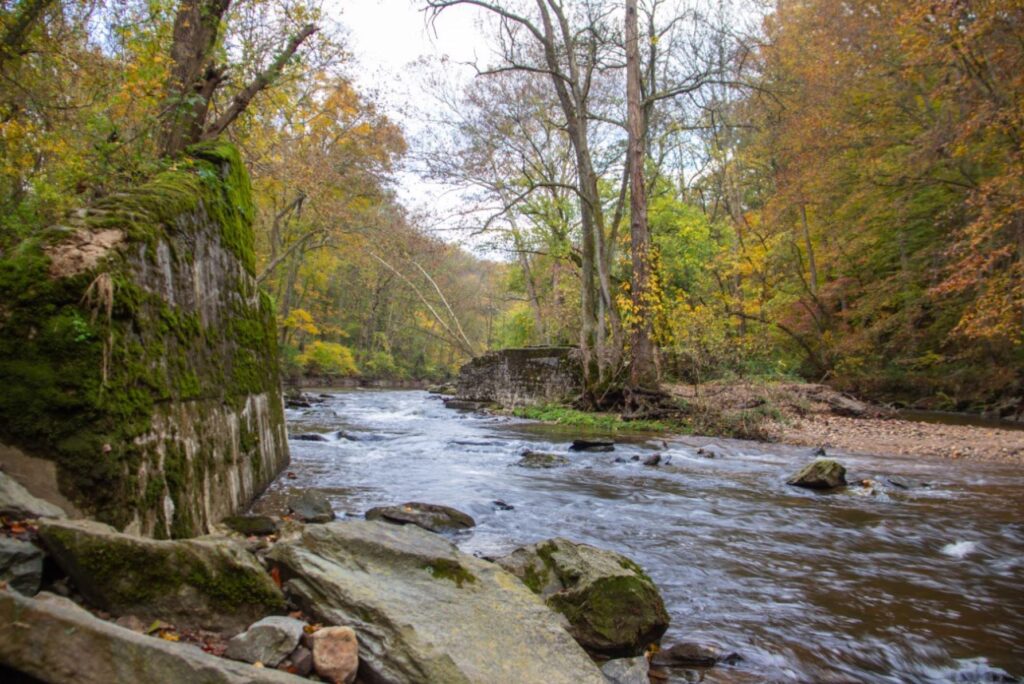 A photo of a the water, trees, and rocks in White Clay Creek, which is located in Newark, Delaware. 